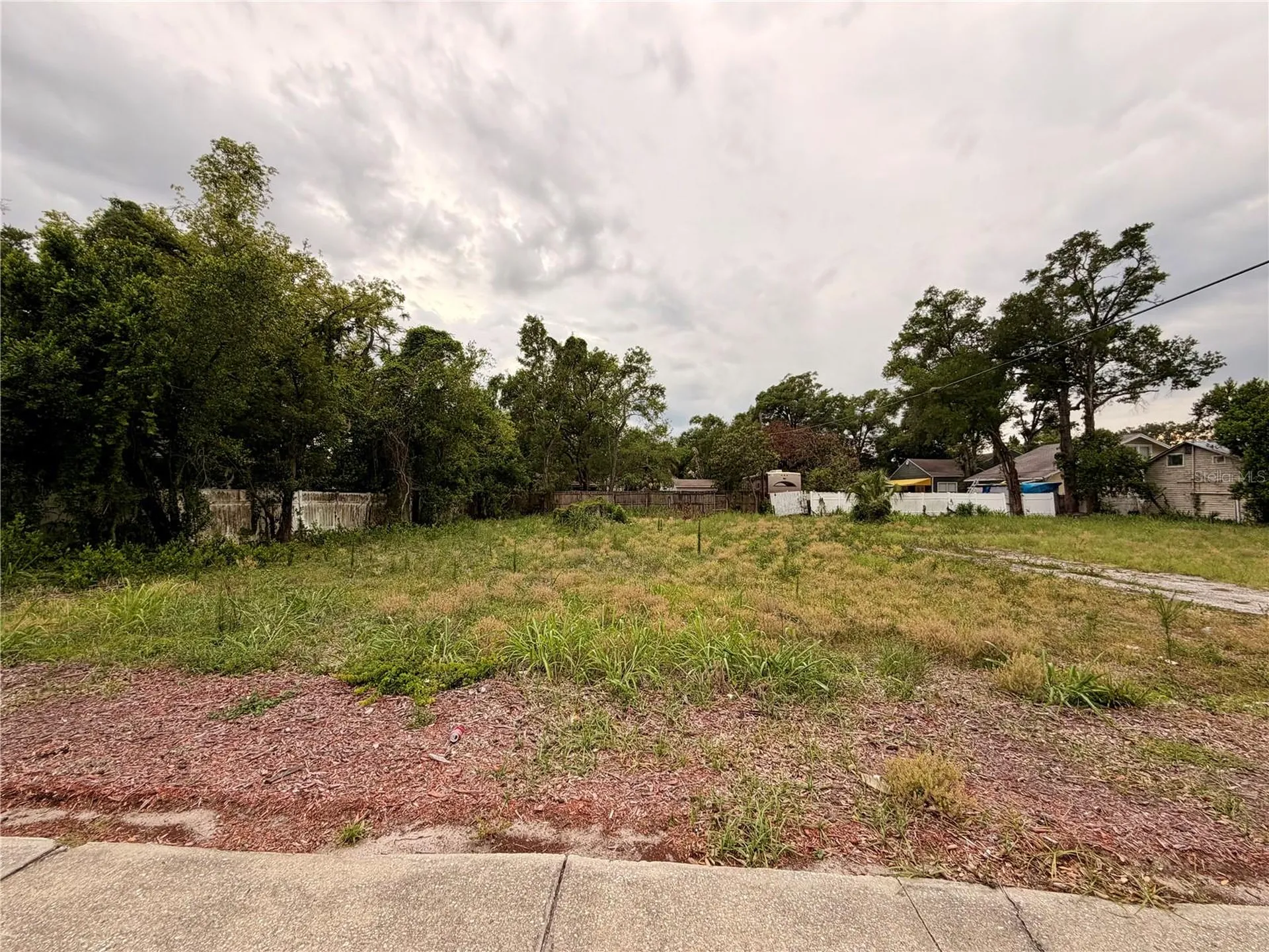 3206 N Tampa Street Tampa FL 33603