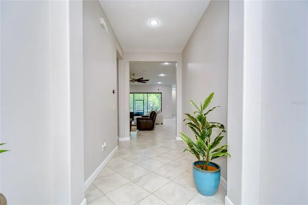 31470 Fairhill Drive Wesley Chapel FL 33543