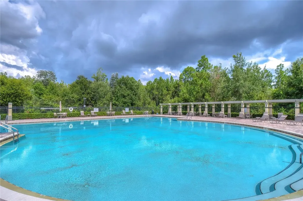 31470 Fairhill Drive Wesley Chapel FL 33543