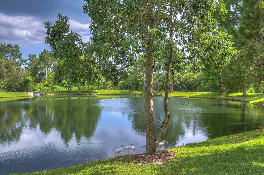 31470 Fairhill Drive Wesley Chapel FL 33543