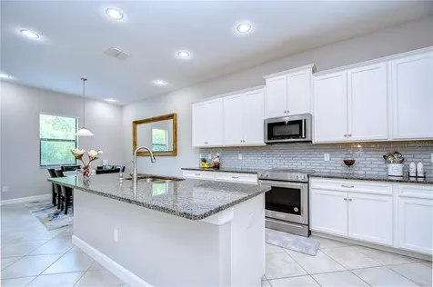 31470 Fairhill Drive Wesley Chapel FL 33543