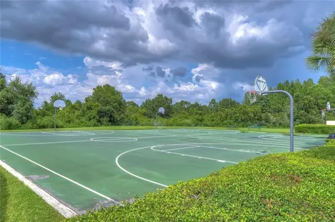 31470 Fairhill Drive Wesley Chapel FL 33543