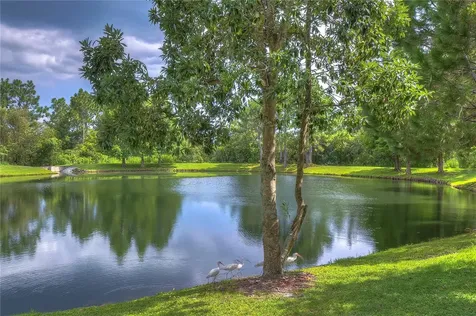 31470 Fairhill Drive Wesley Chapel FL 33543