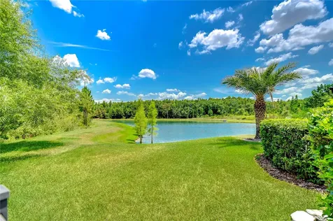 31470 Fairhill Drive Wesley Chapel FL 33543