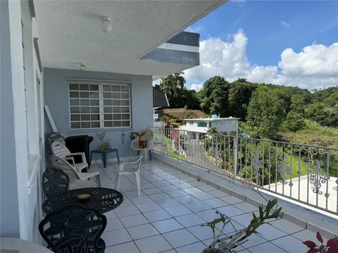 Sector Flor Sanchez Bo. Buena Vista Bayamon PR 00956