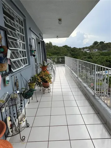Sector Flor Sanchez Bo. Buena Vista Bayamon PR 00956