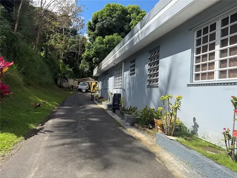 Sector Flor Sanchez Bo. Buena Vista Bayamon PR 00956
