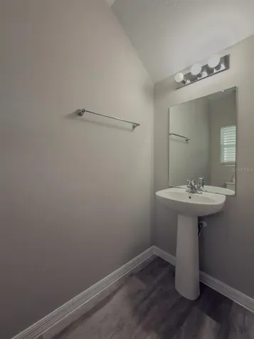 14606 Brumby Ridge Avenue Lithia FL 33547