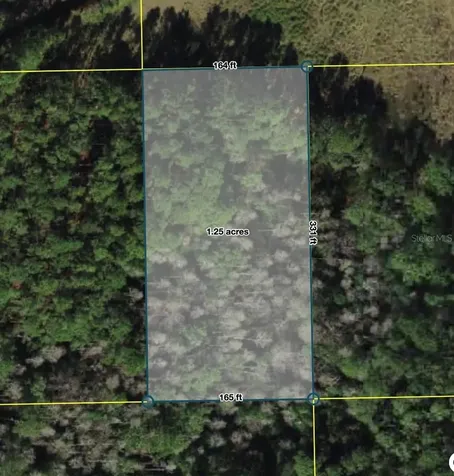 Polk City Polk City FL 33868
