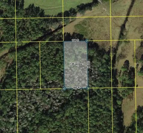 Polk City Polk City FL 33868