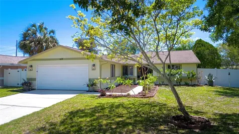 629 Bay Lake Trail Oldsmar FL 34677