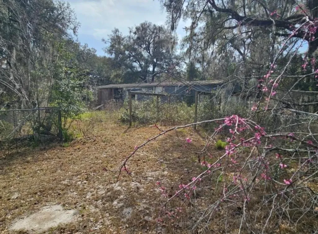 4210 NE 175th Street Road Citra FL 32113