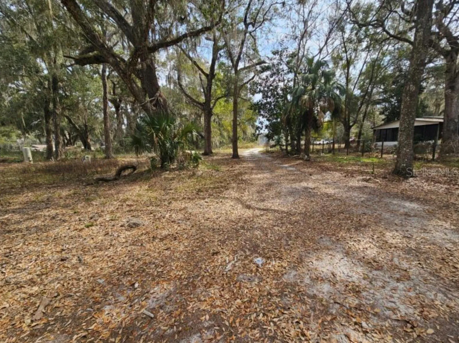 4210 NE 175th Street Road Citra FL 32113