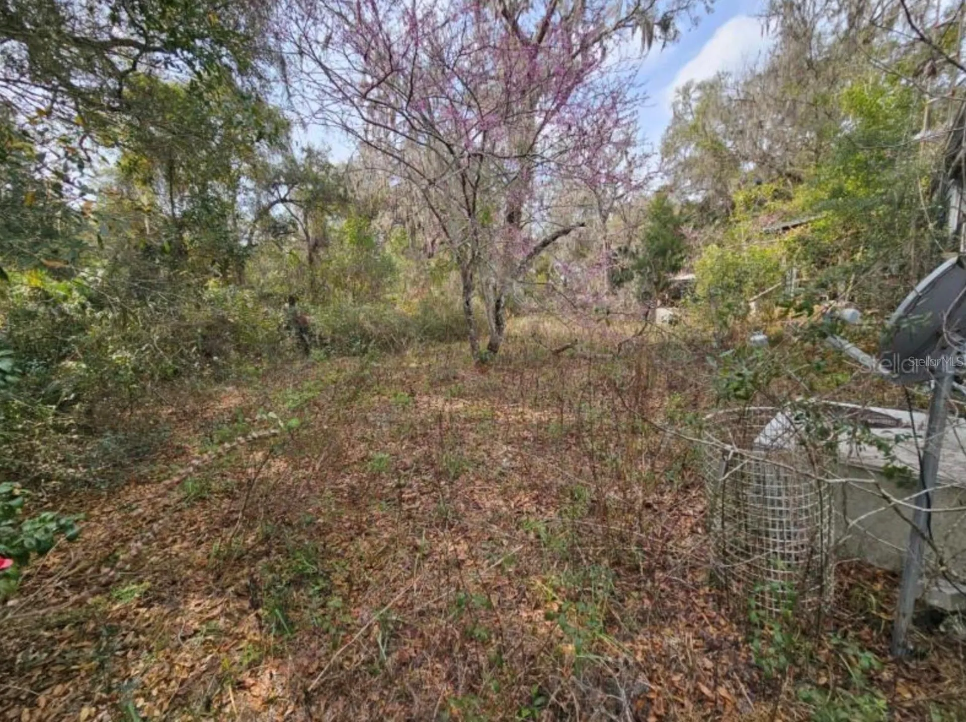 4210 NE 175th Street Road Citra FL 32113