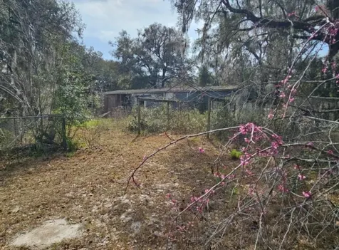 4210 NE 175th Street Road Citra FL 32113