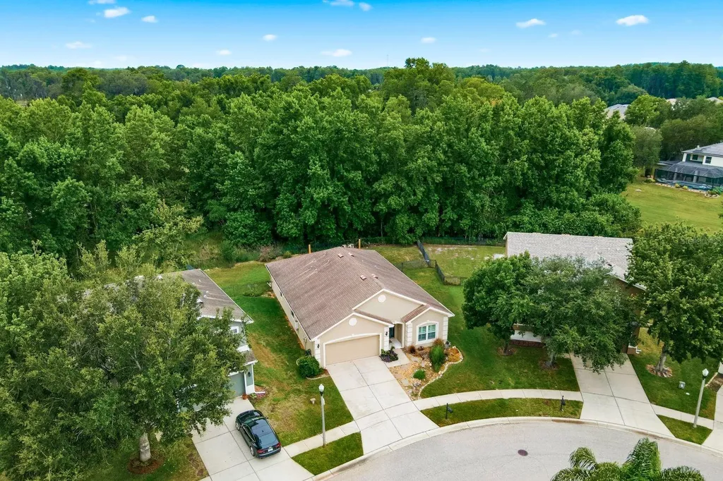 5643 White Trillium Loop Land O Lakes FL 34639