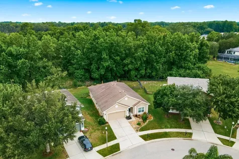 5643 White Trillium Loop Land O Lakes FL 34639