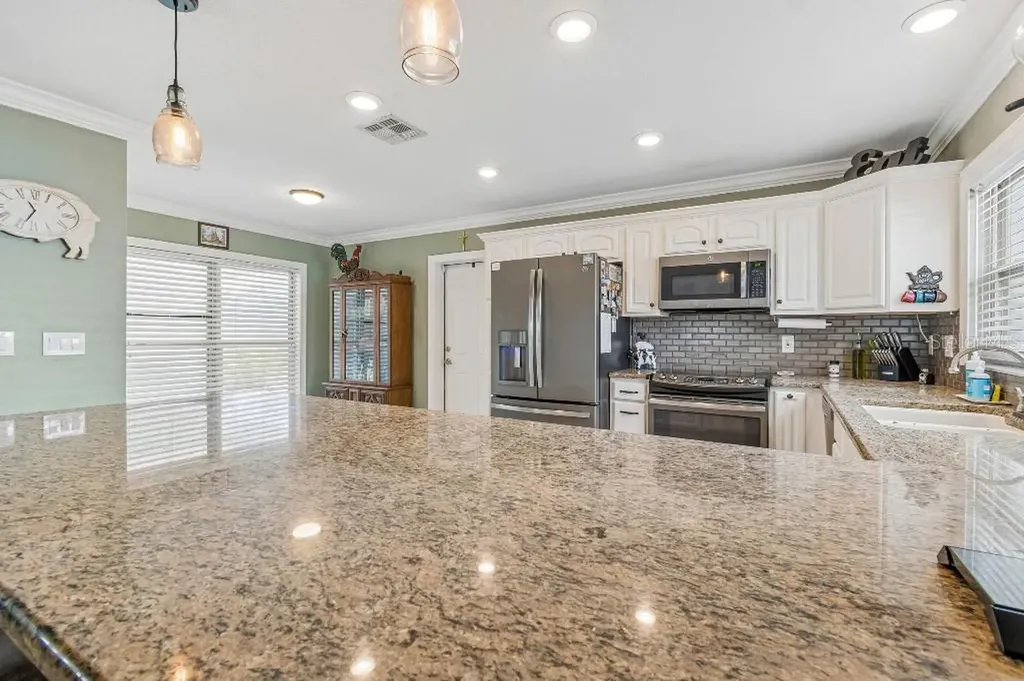 4009 Mountain Springs Lane Tampa FL 33624