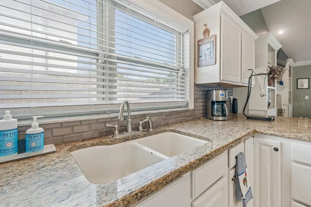 4009 Mountain Springs Lane Tampa FL 33624