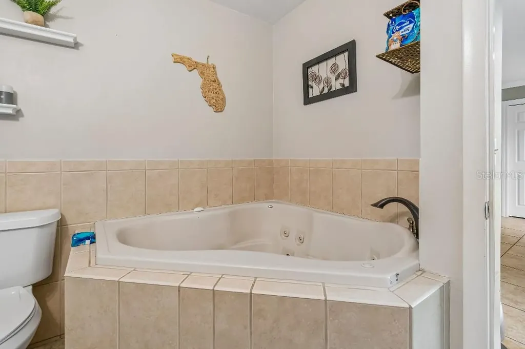 4009 Mountain Springs Lane Tampa FL 33624