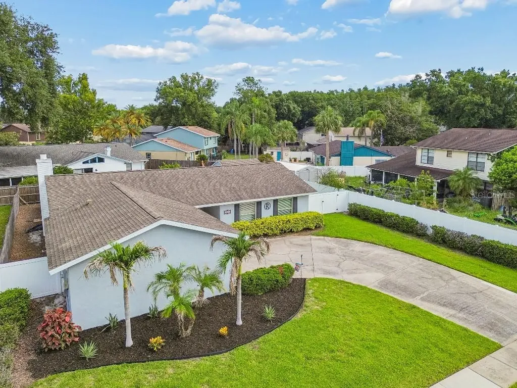 4009 Mountain Springs Lane Tampa FL 33624
