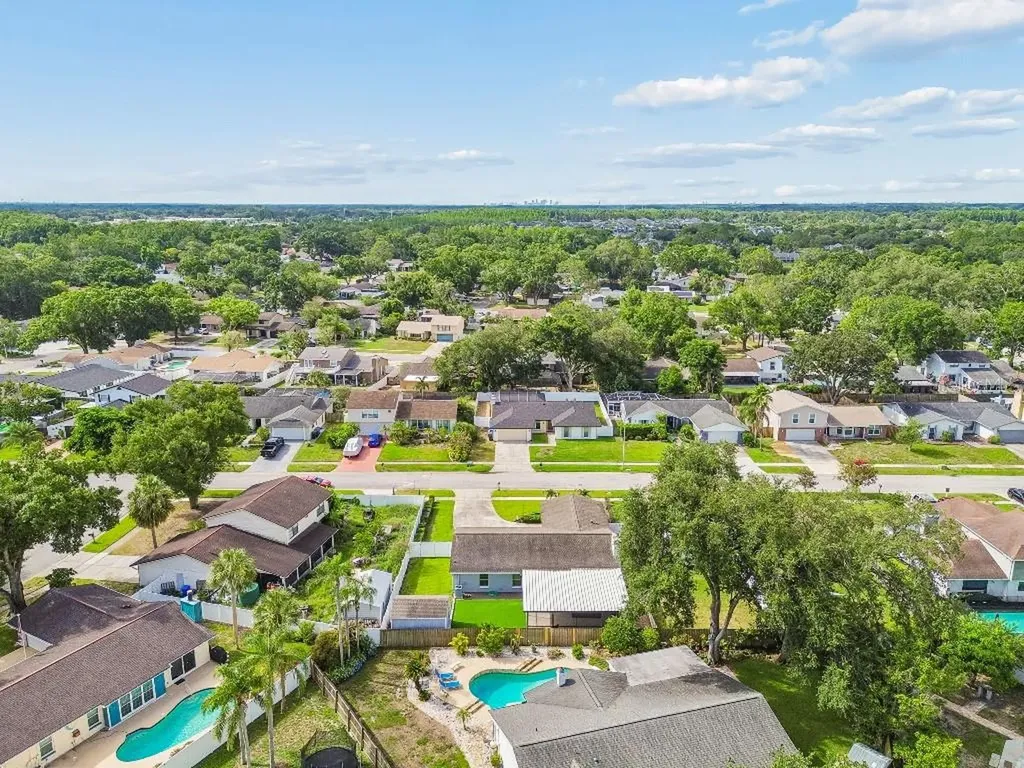 4009 Mountain Springs Lane Tampa FL 33624