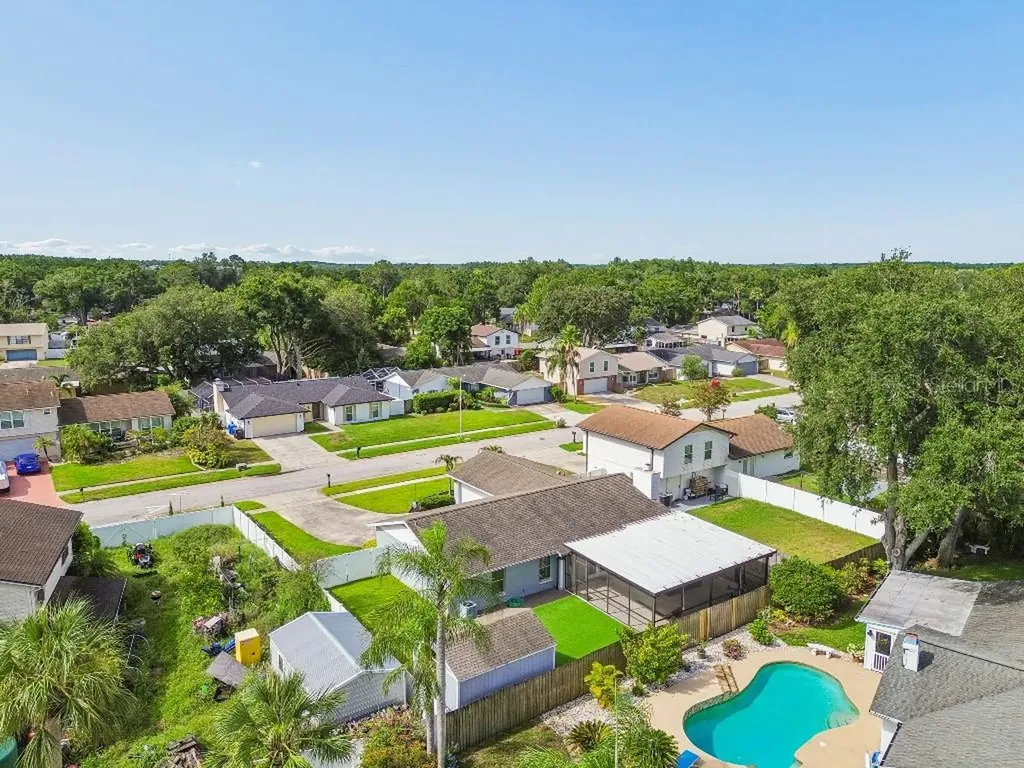 4009 Mountain Springs Lane Tampa FL 33624