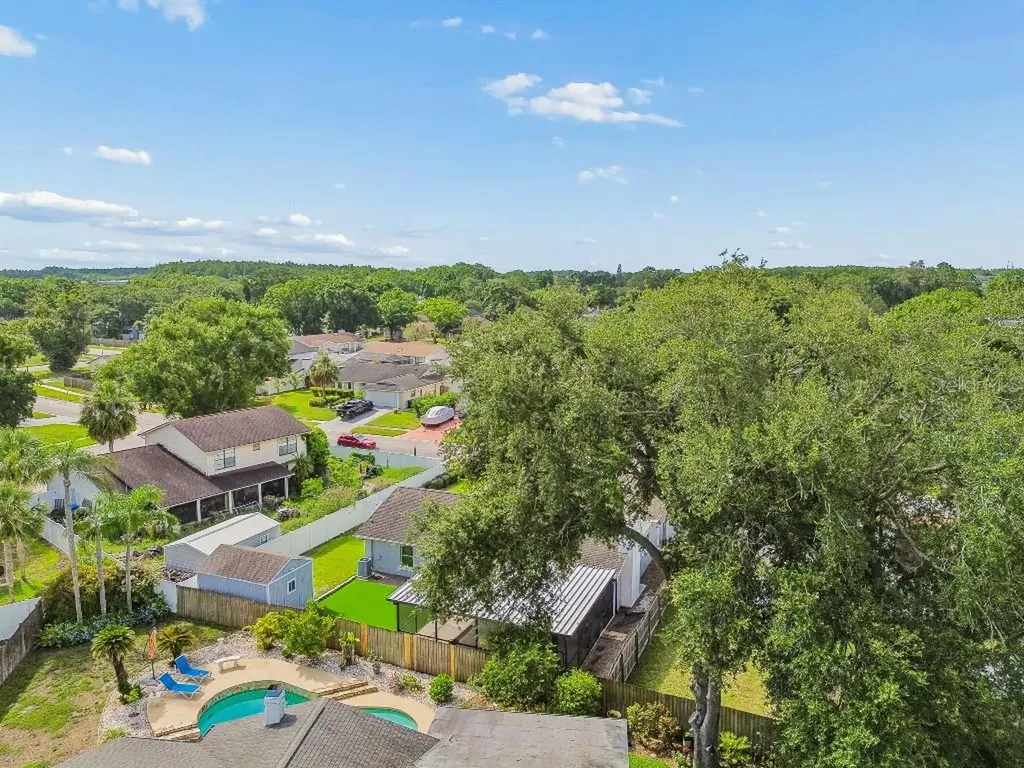 4009 Mountain Springs Lane Tampa FL 33624
