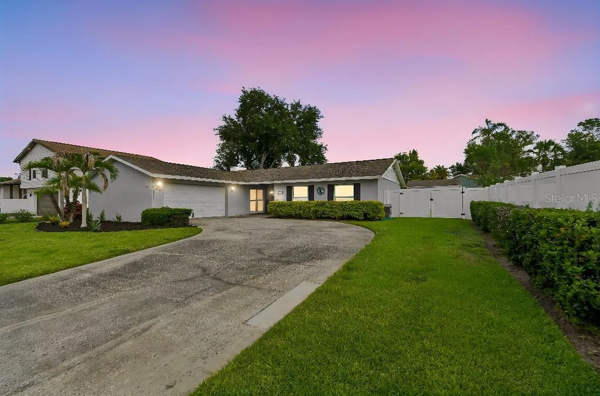 4009 Mountain Springs Lane Tampa FL 33624