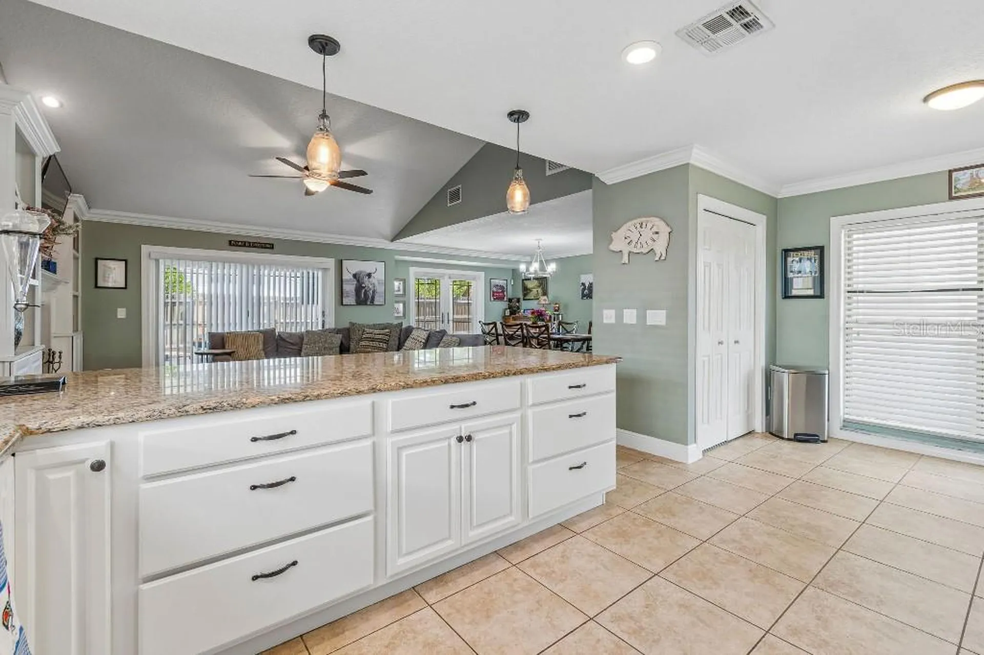 4009 Mountain Springs Lane Tampa FL 33624