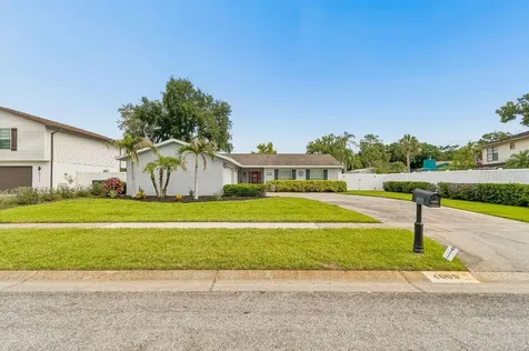4009 Mountain Springs Lane Tampa FL 33624