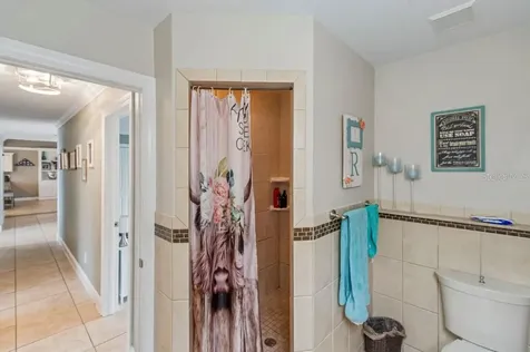 4009 Mountain Springs Lane Tampa FL 33624