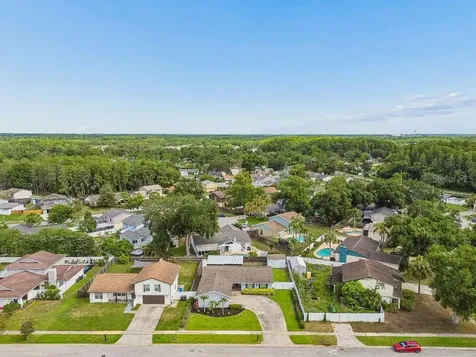 4009 Mountain Springs Lane Tampa FL 33624