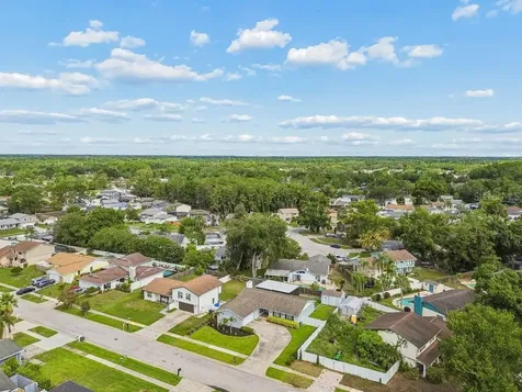 4009 Mountain Springs Lane Tampa FL 33624