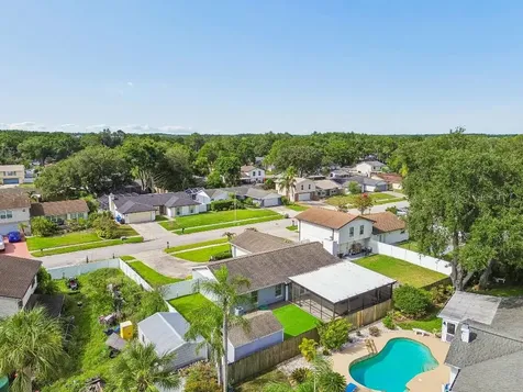 4009 Mountain Springs Lane Tampa FL 33624