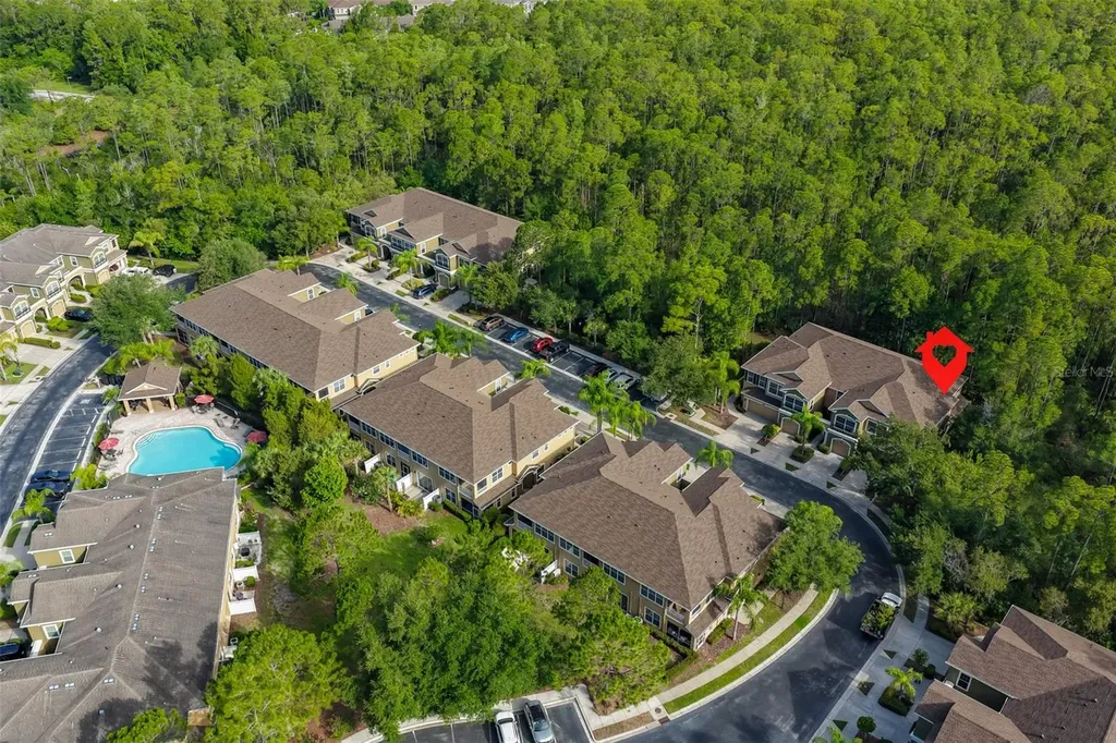 12646 Silverdale Street Tampa FL 33626