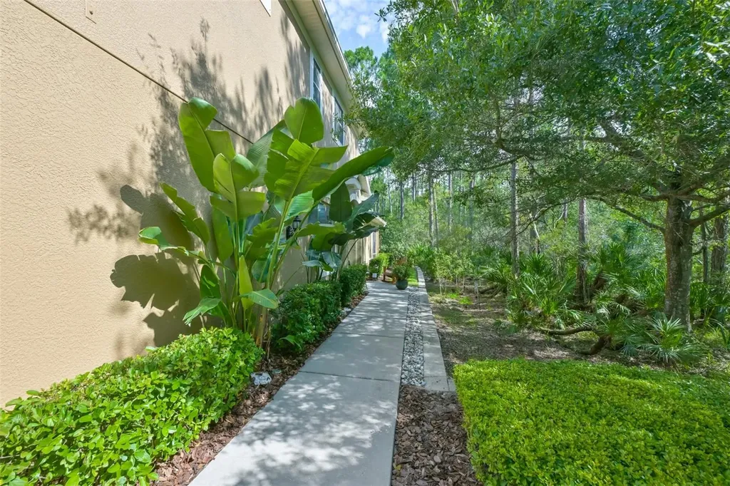 12646 Silverdale Street Tampa FL 33626