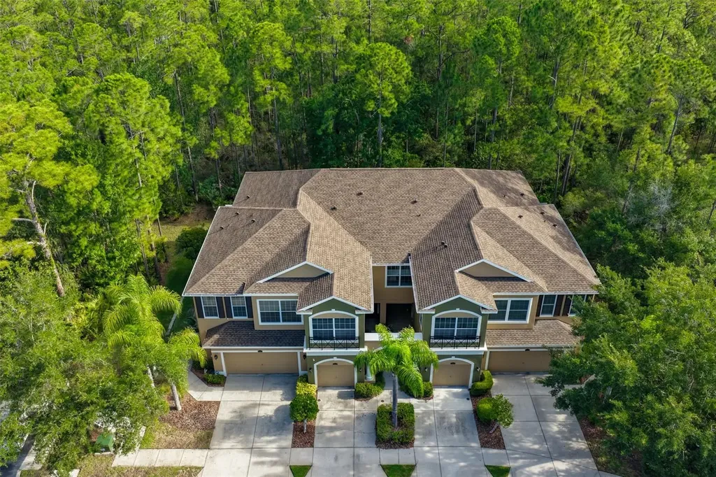 12646 Silverdale Street Tampa FL 33626