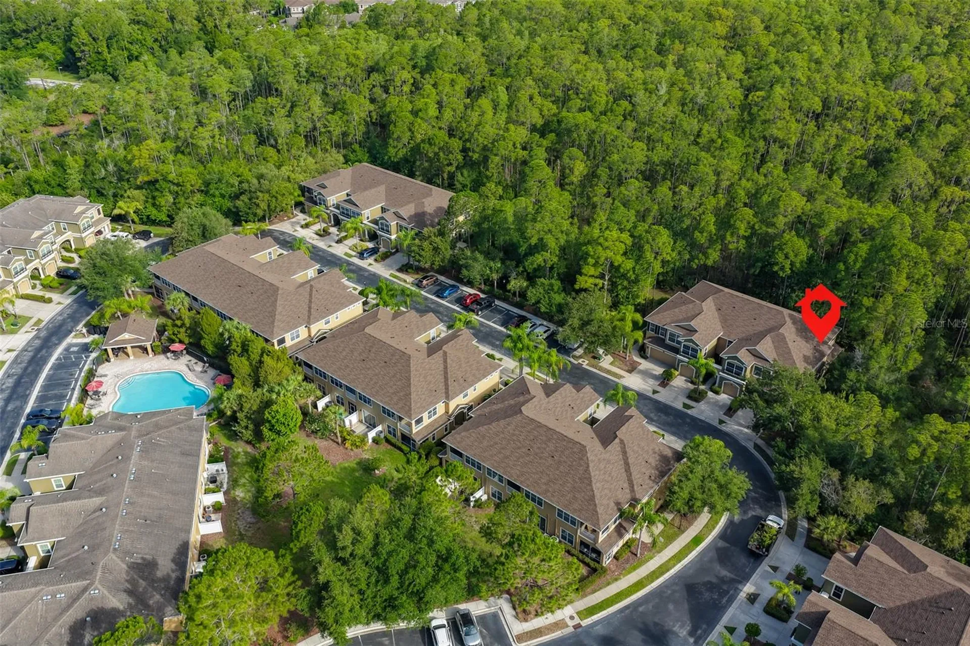 12646 Silverdale Street Tampa FL 33626