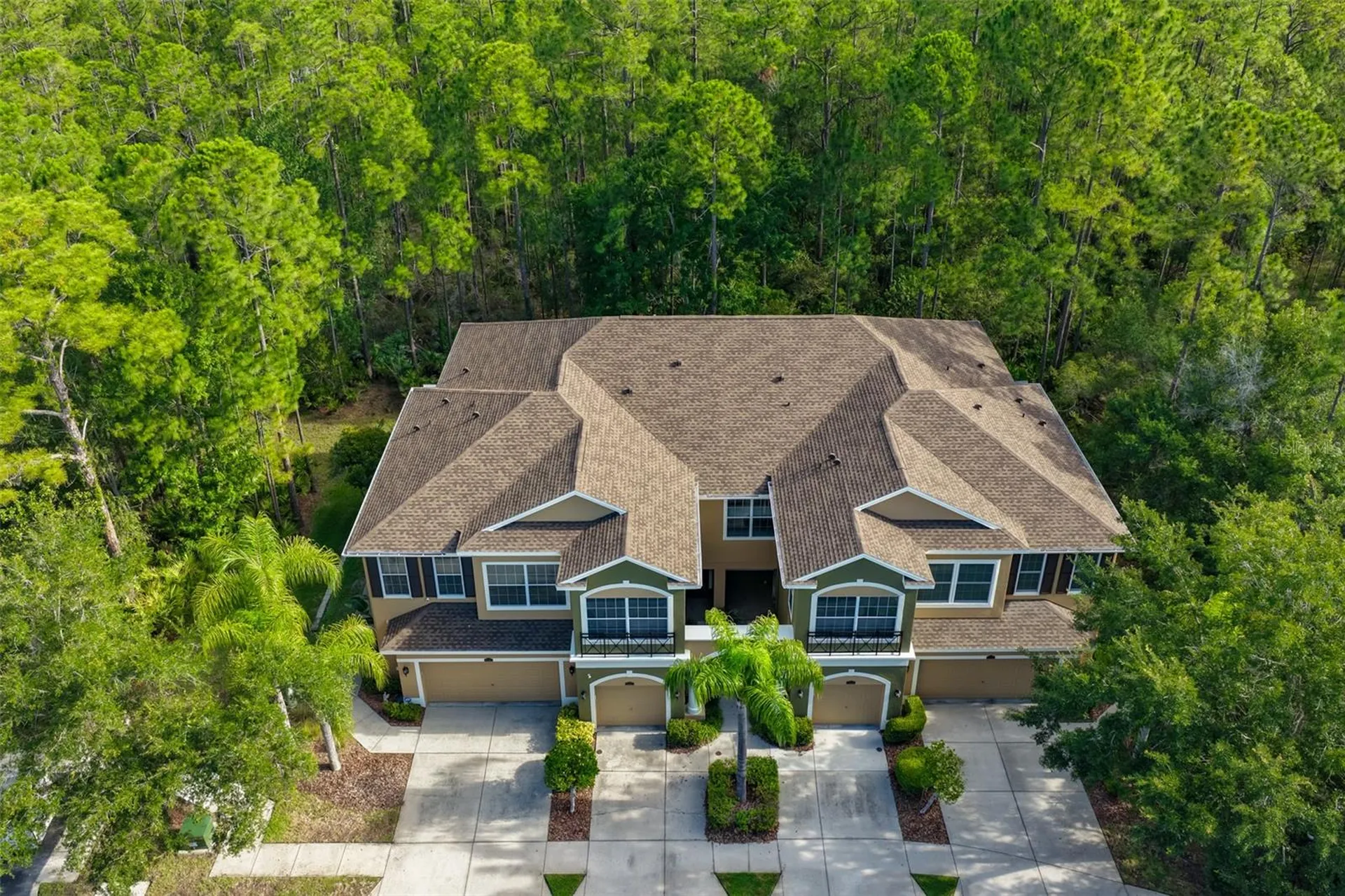 12646 Silverdale Street Tampa FL 33626