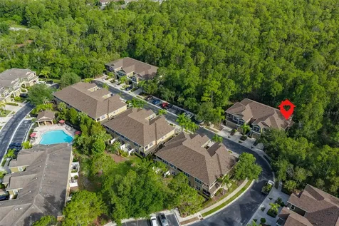 12646 Silverdale Street Tampa FL 33626