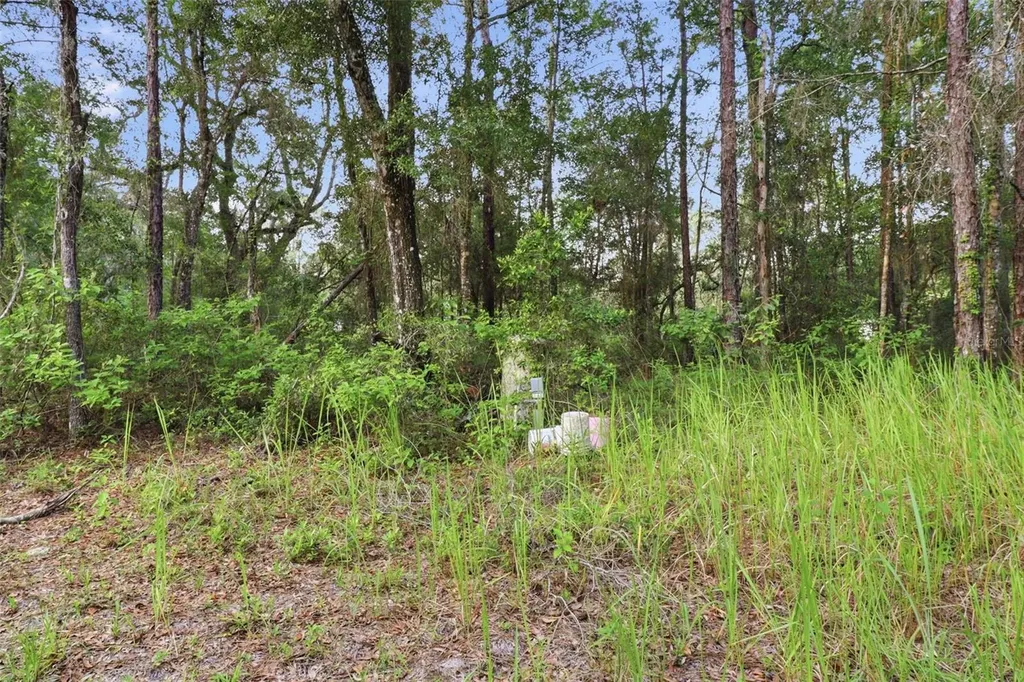6360 Arizona Street Brooksville FL 34604