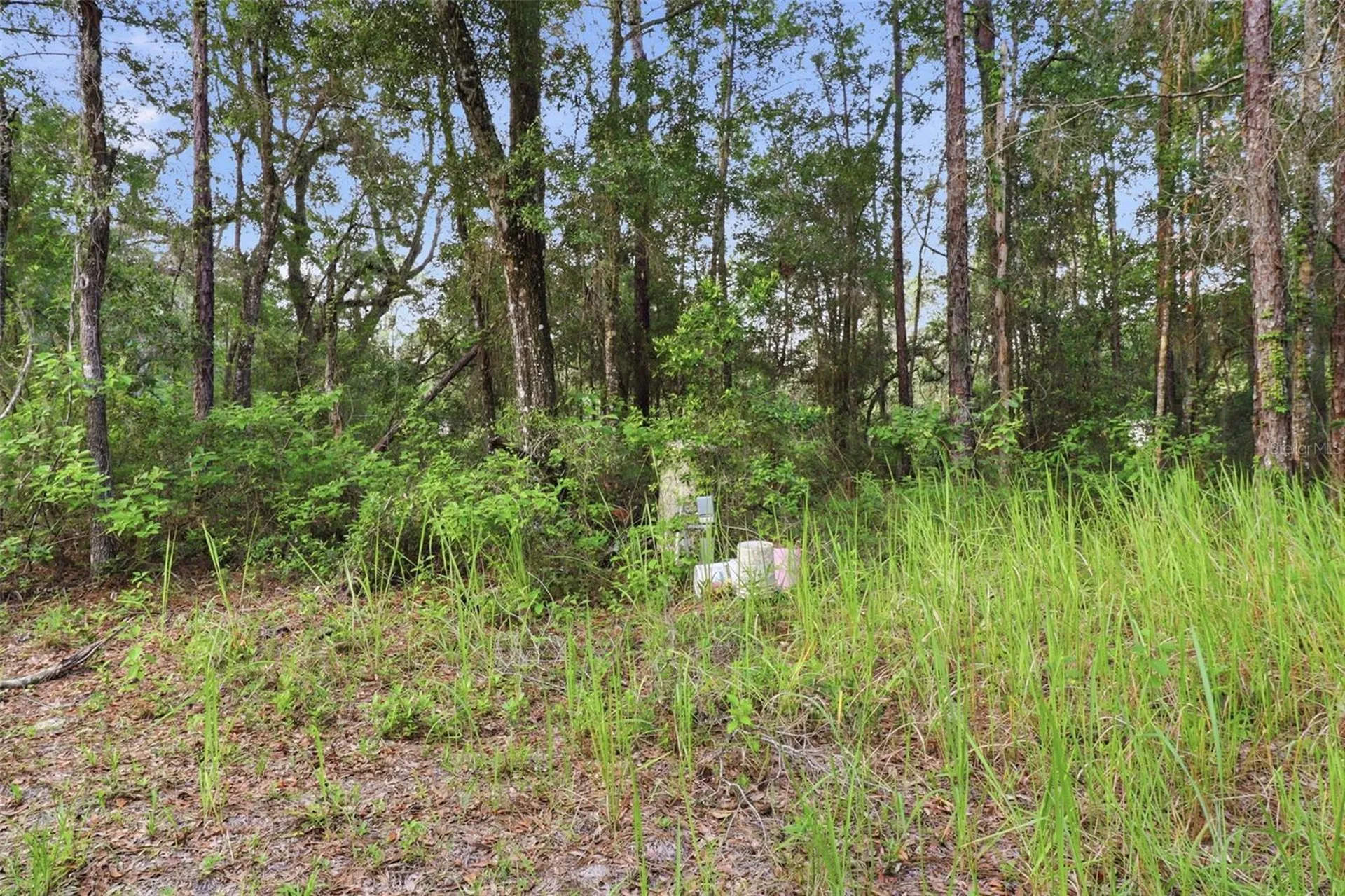 6360 Arizona Street Brooksville FL 34604