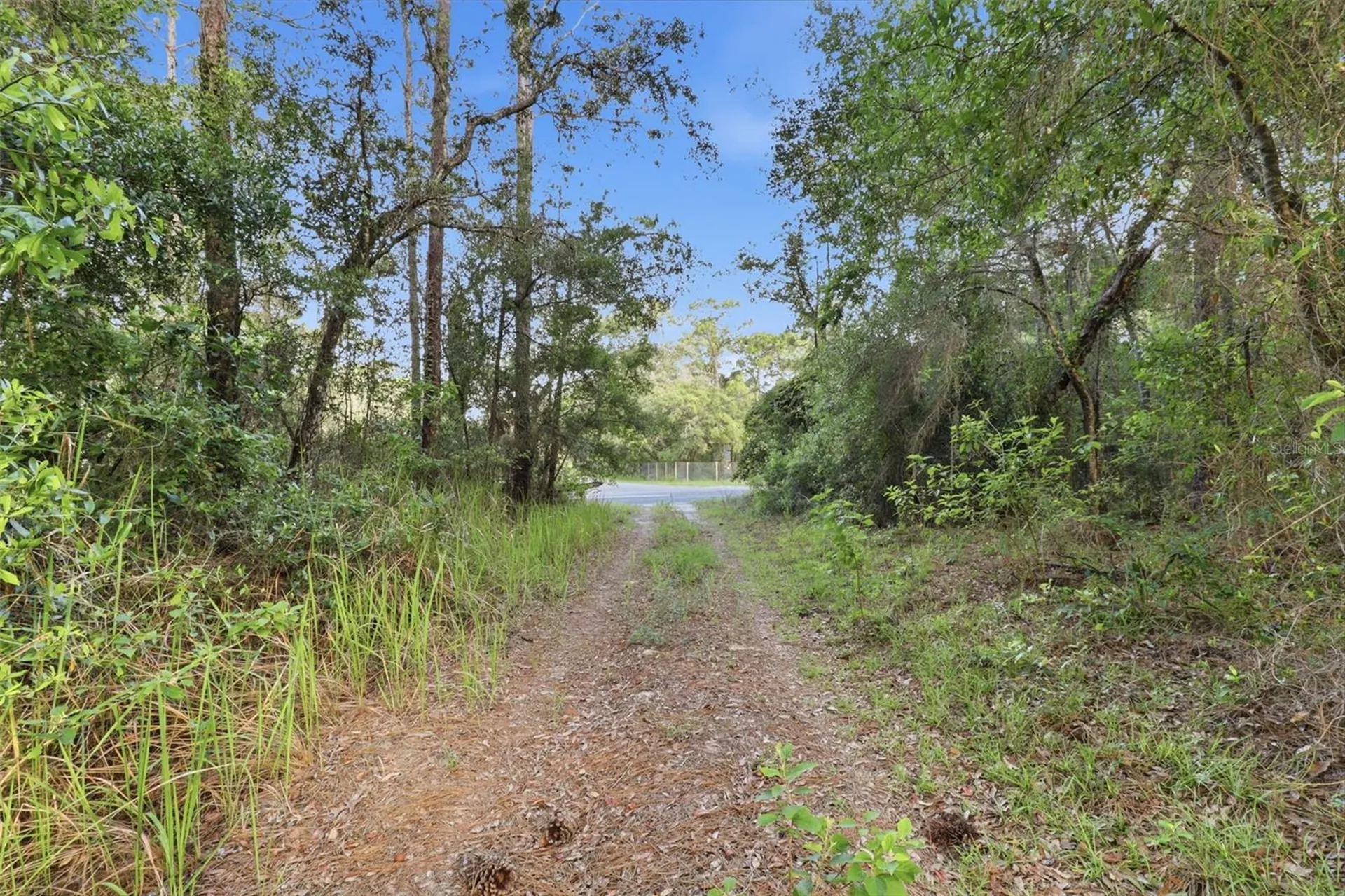 6360 Arizona Street Brooksville FL 34604