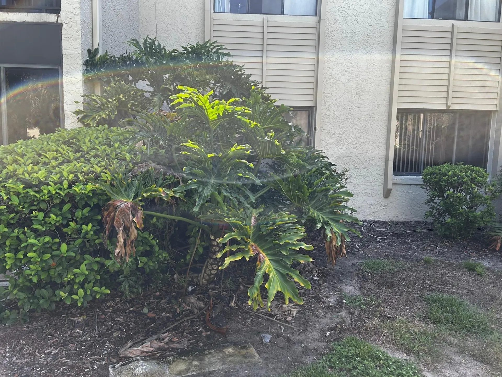 3298 Semoran Boulevard Orlando FL 32822