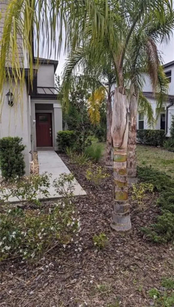 1384 White Fox Run Lutz FL 33549