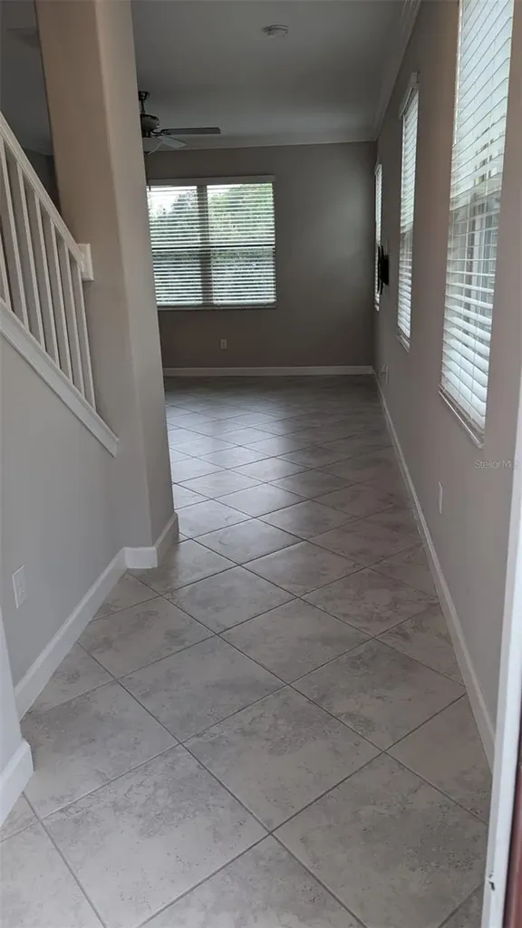 1384 White Fox Run Lutz FL 33549