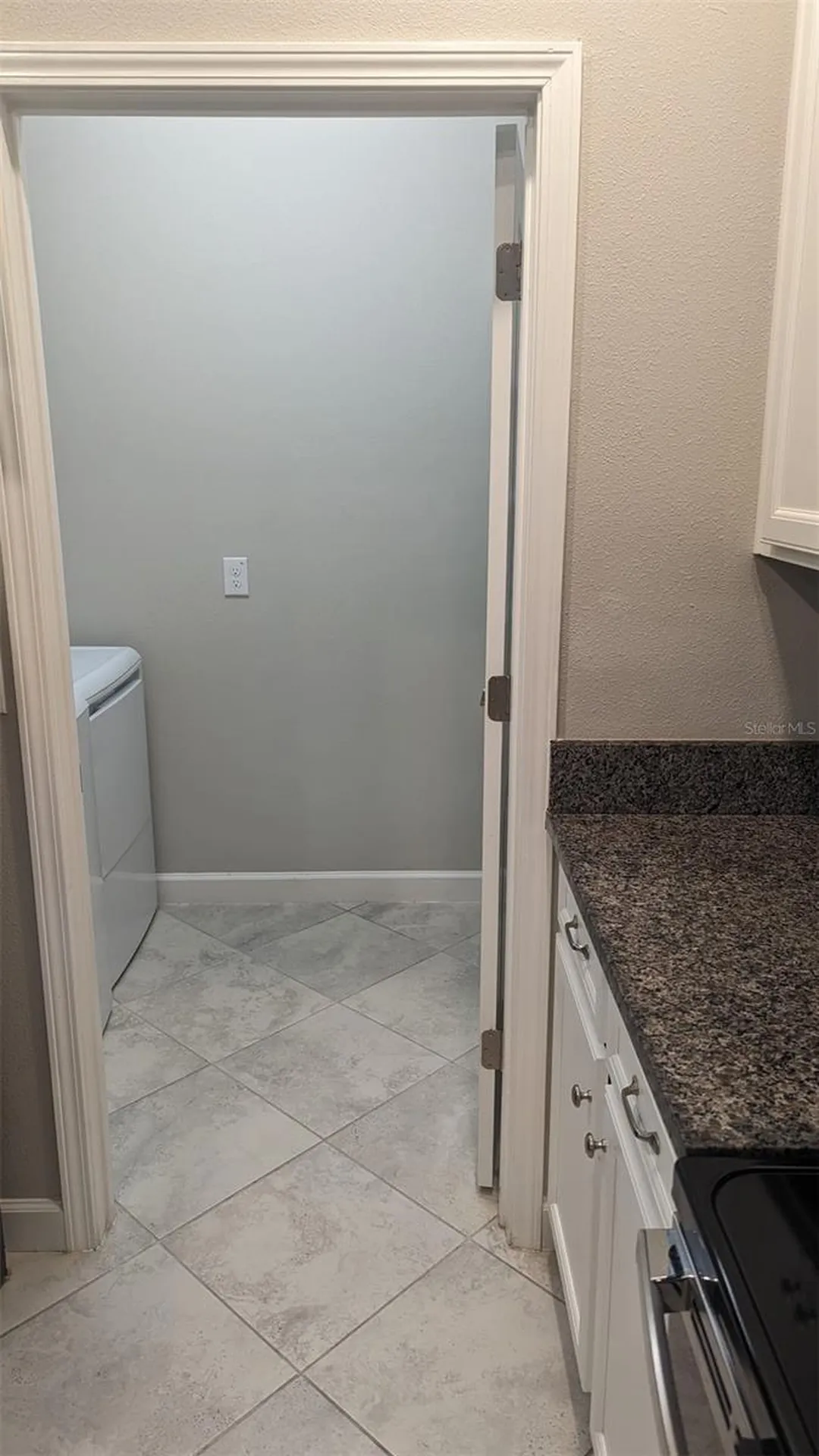 1384 White Fox Run Lutz FL 33549