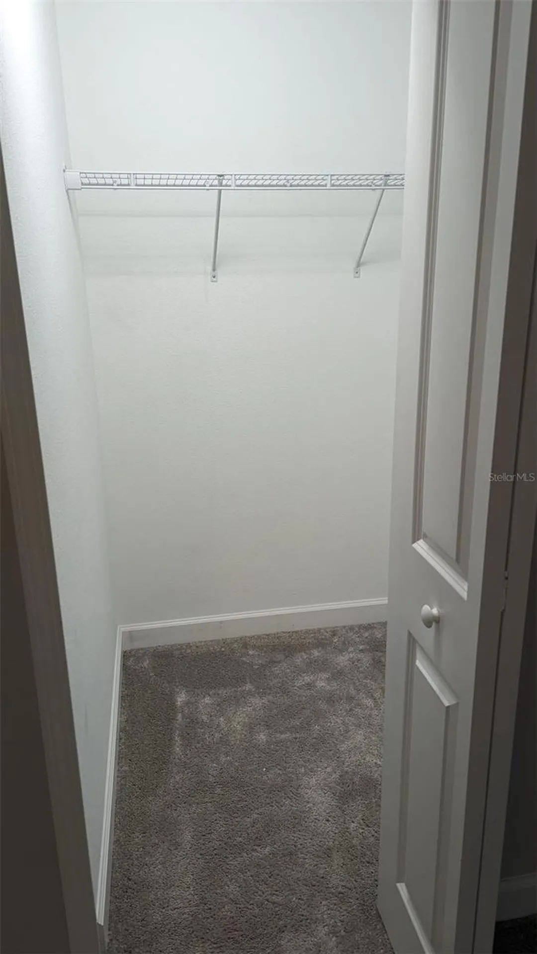 1384 White Fox Run Lutz FL 33549