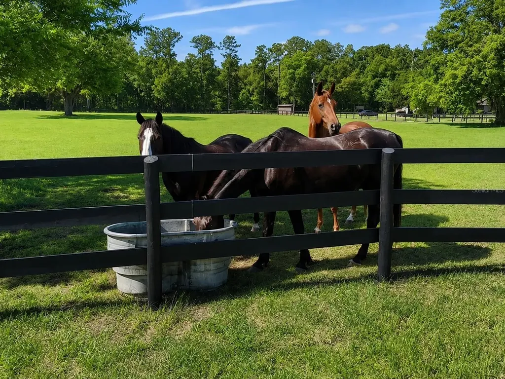 6 Wintergreen Way Ocala FL 34482